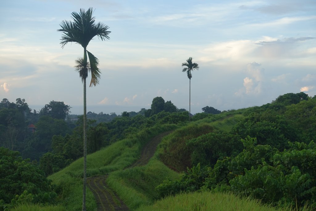 Ridge Walk Bali