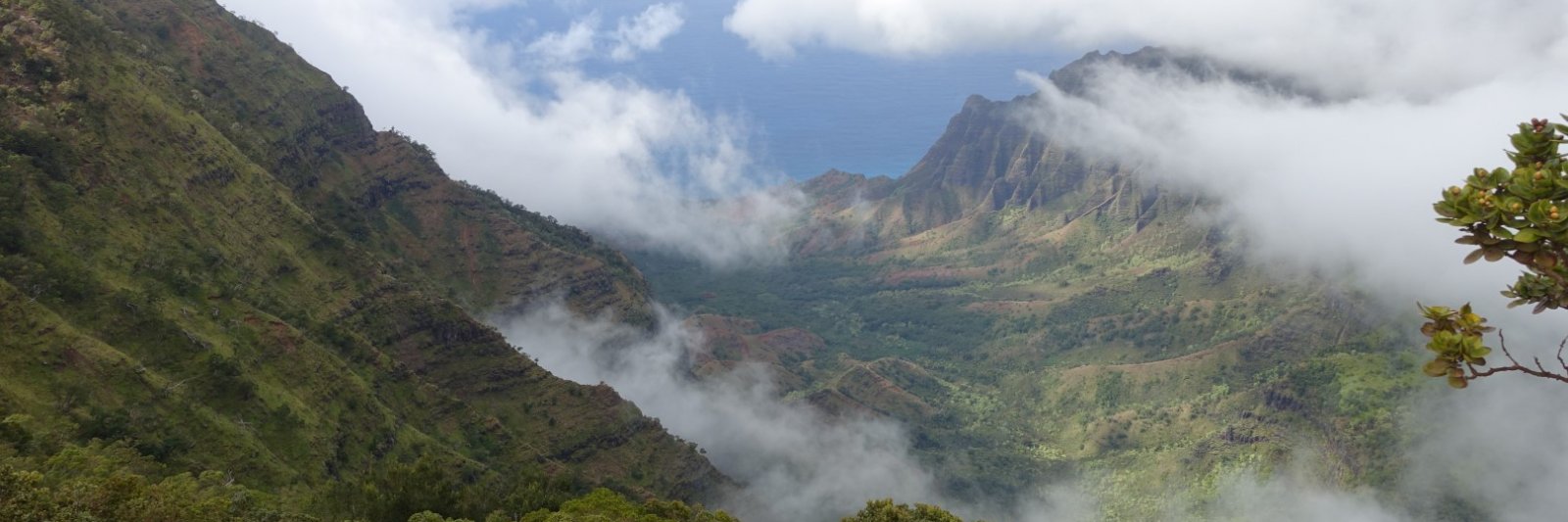 View from Pu'u O Kila Lookout