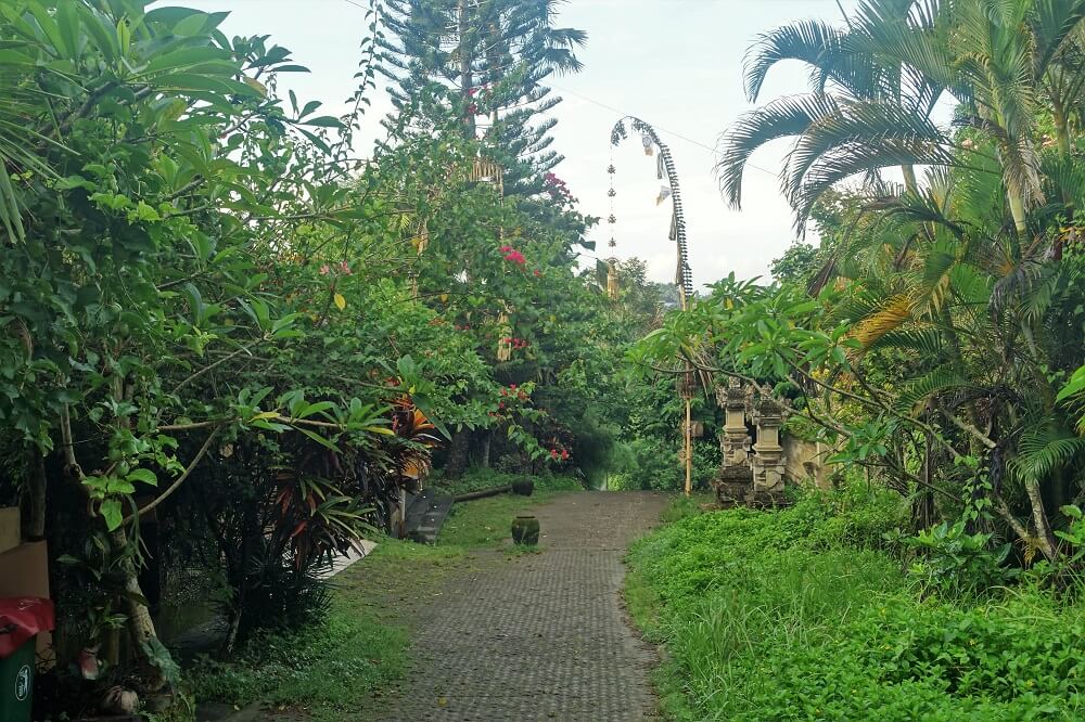 Scenery in Bali