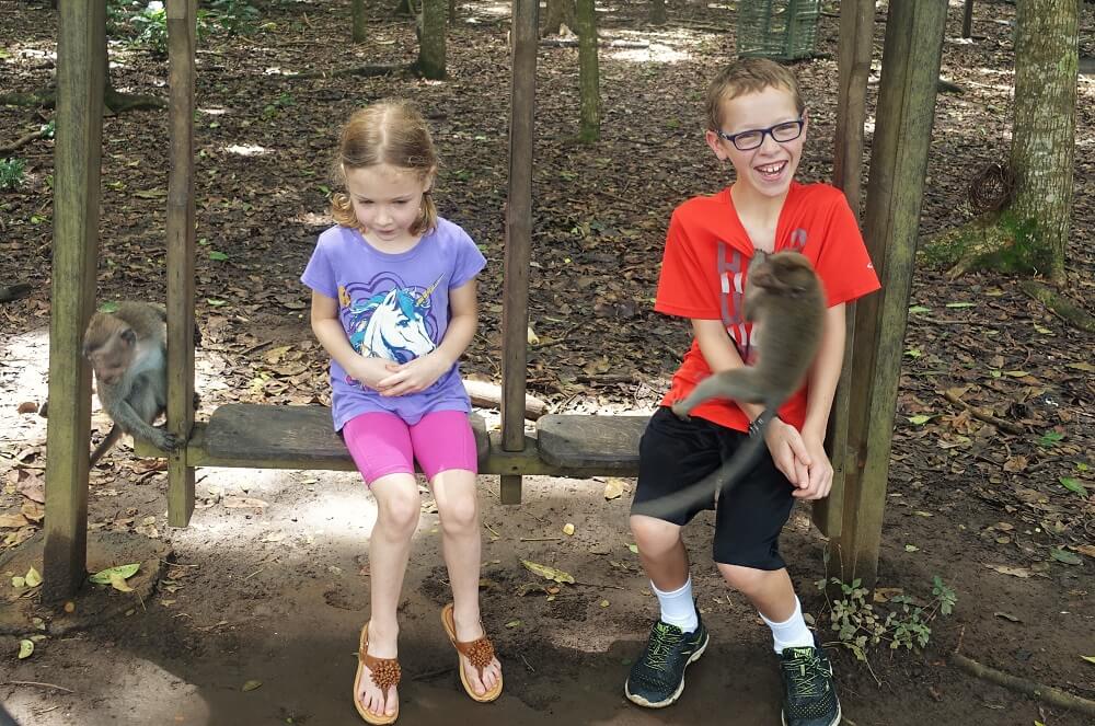 Wild monkeys climbing on kids