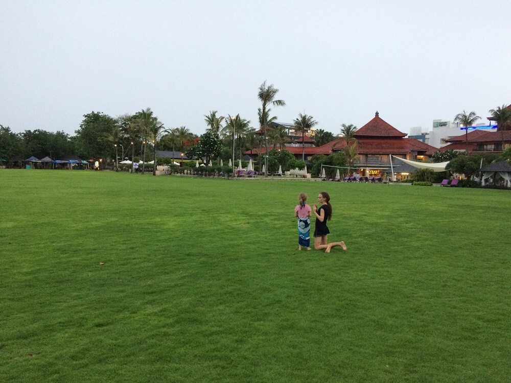 lots of grass