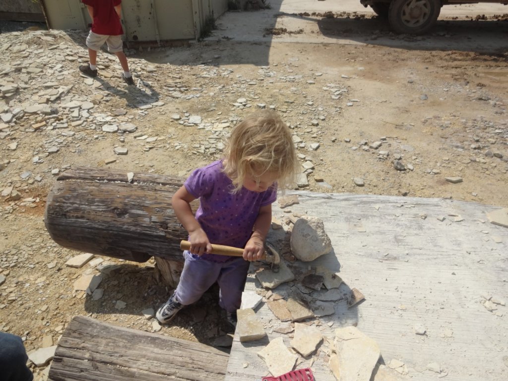 girl pounding fossil rocks with hammer