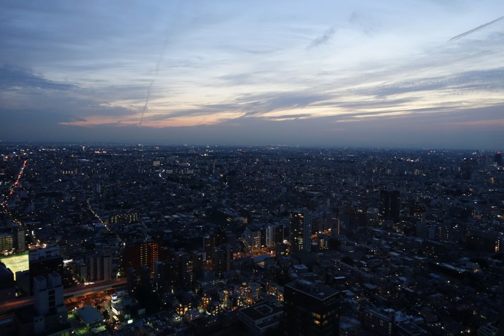 View of Tokyo from hotel room