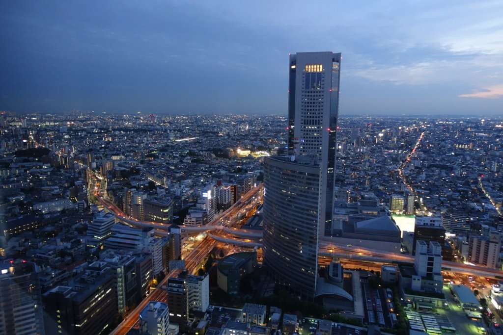 View from Park Hyatt Tokyo