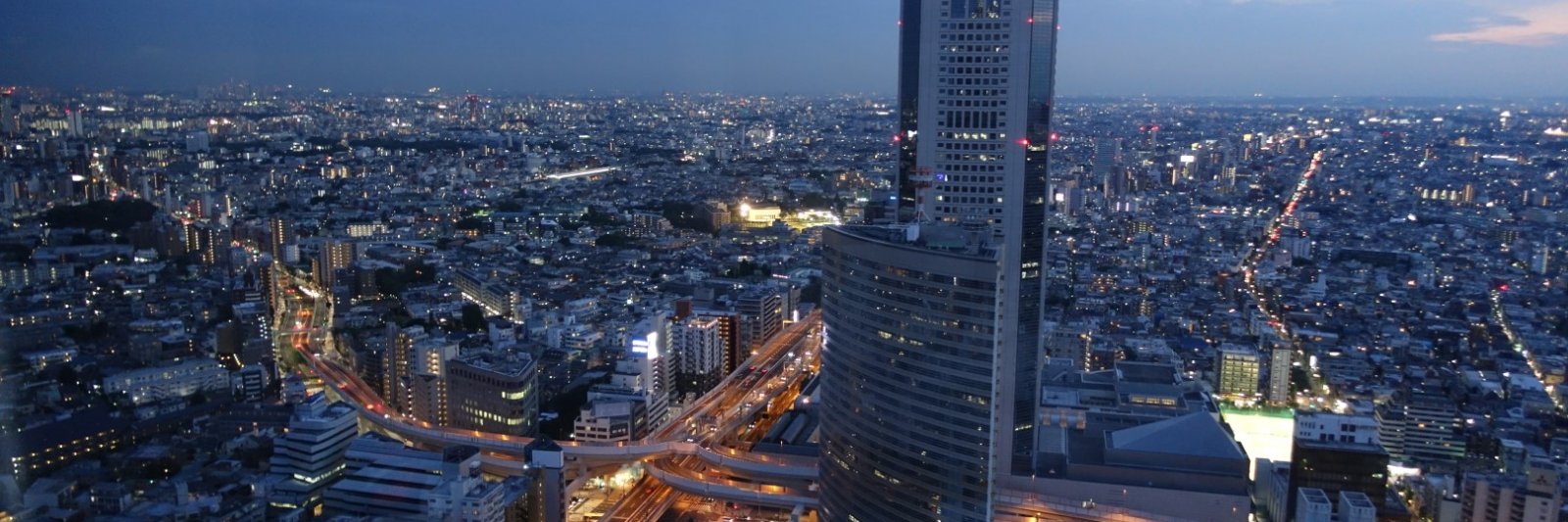 View from Park Hyatt Tokyo