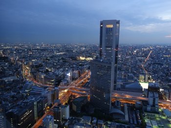 View from Park Hyatt Tokyo