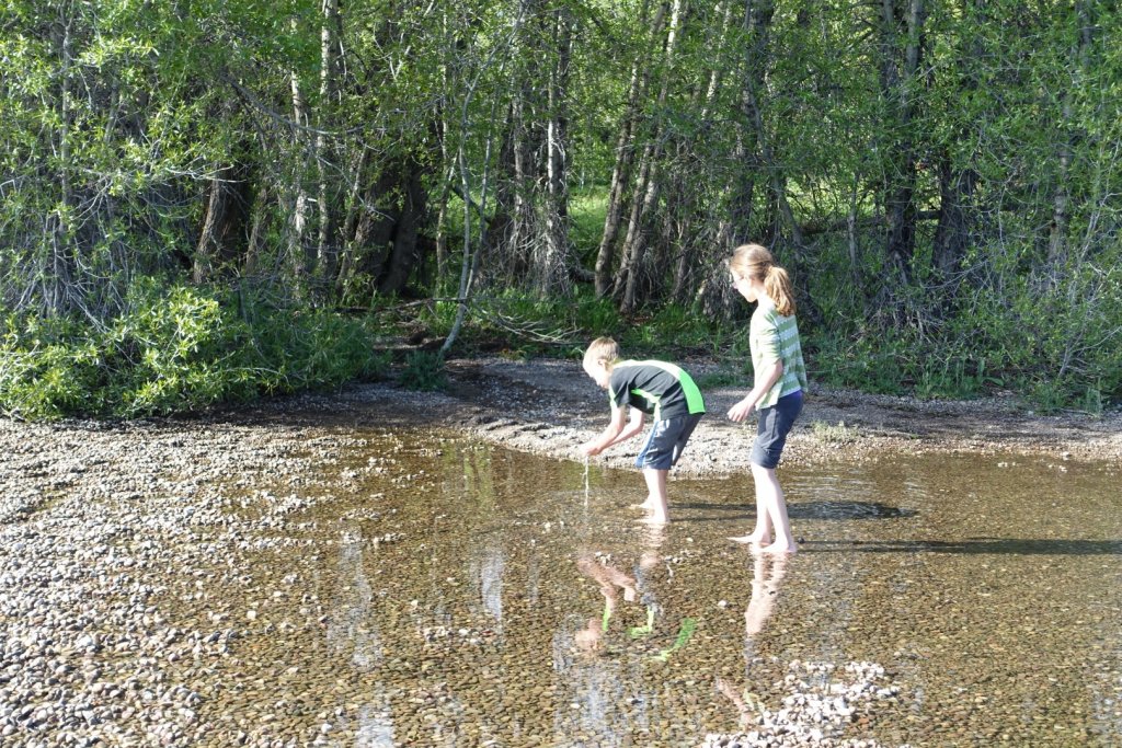 kids wading in water