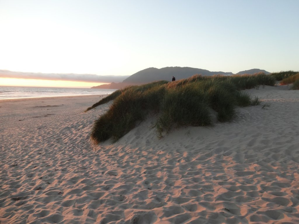 sandy beach at sunset