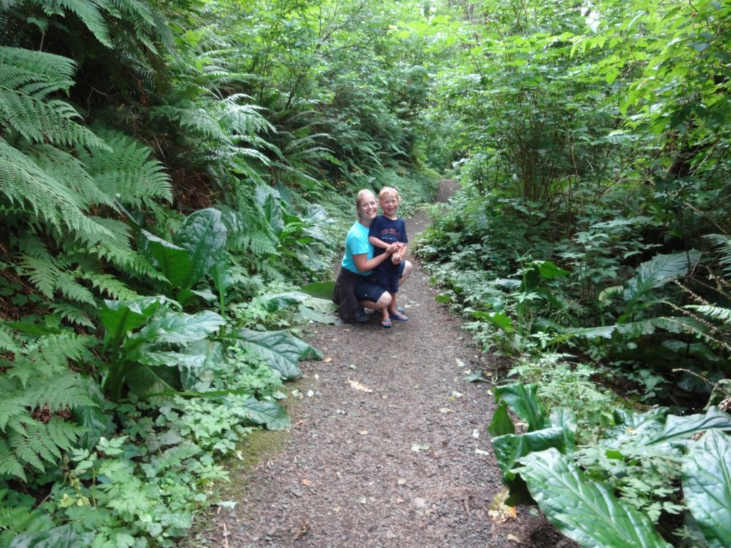 Lush green foliage at Nehalem Bay State Park