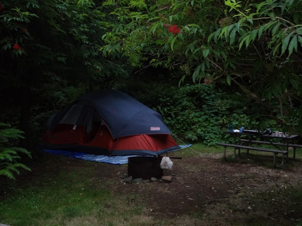 Tent camping at Jedediah Smith Redwoods State Park