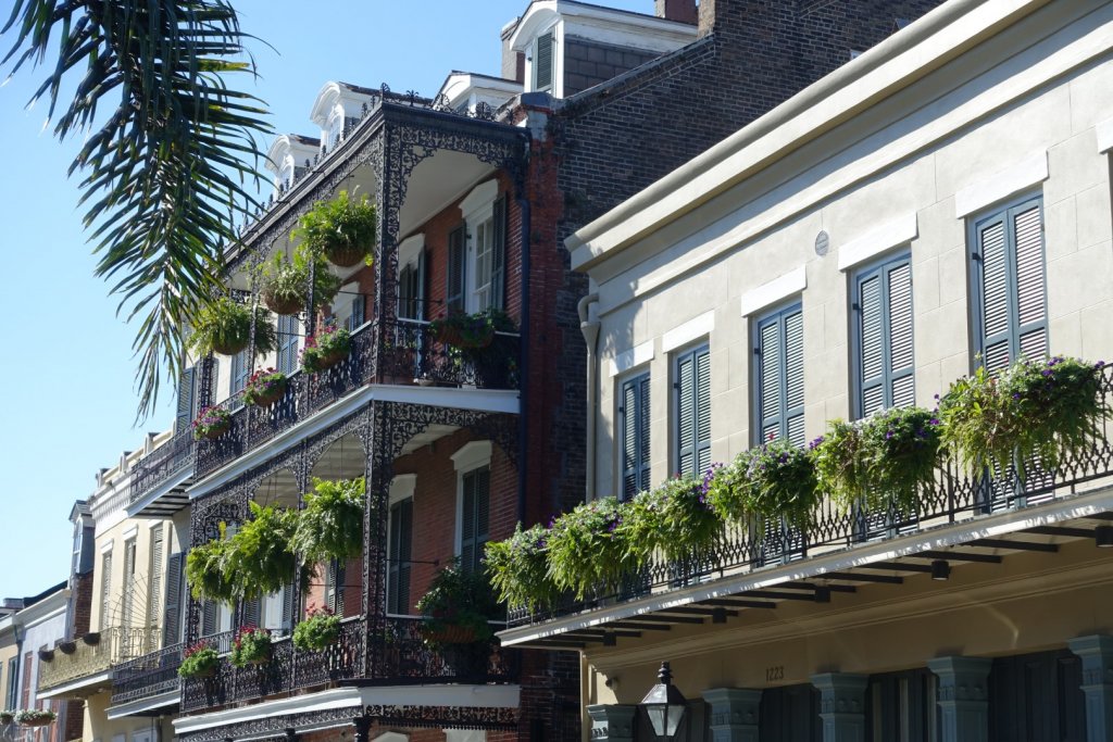 Balconies with hanging plants