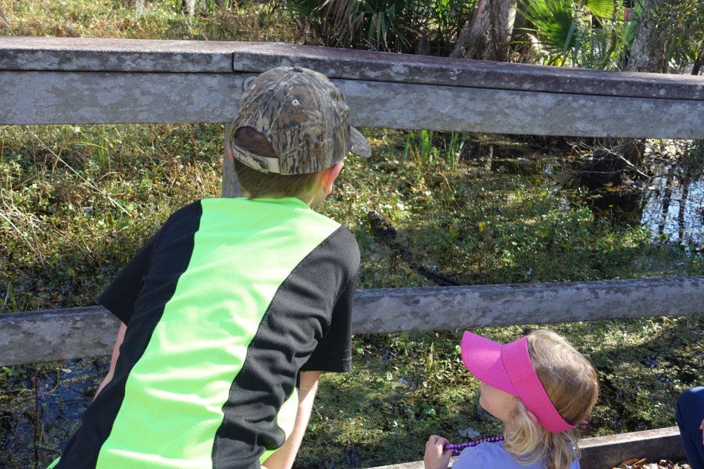 two kids looking at an alligator in the water