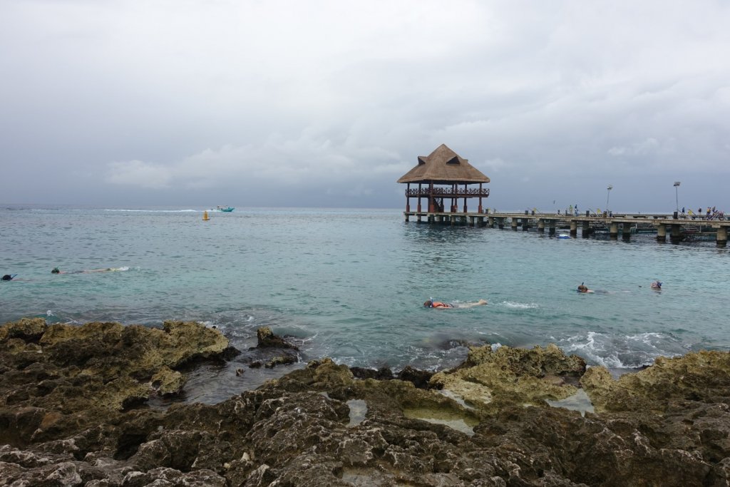 people snorkeling in the ocean