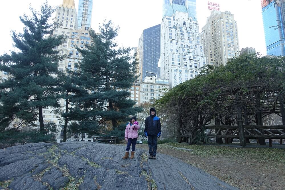 Central park with city in the background