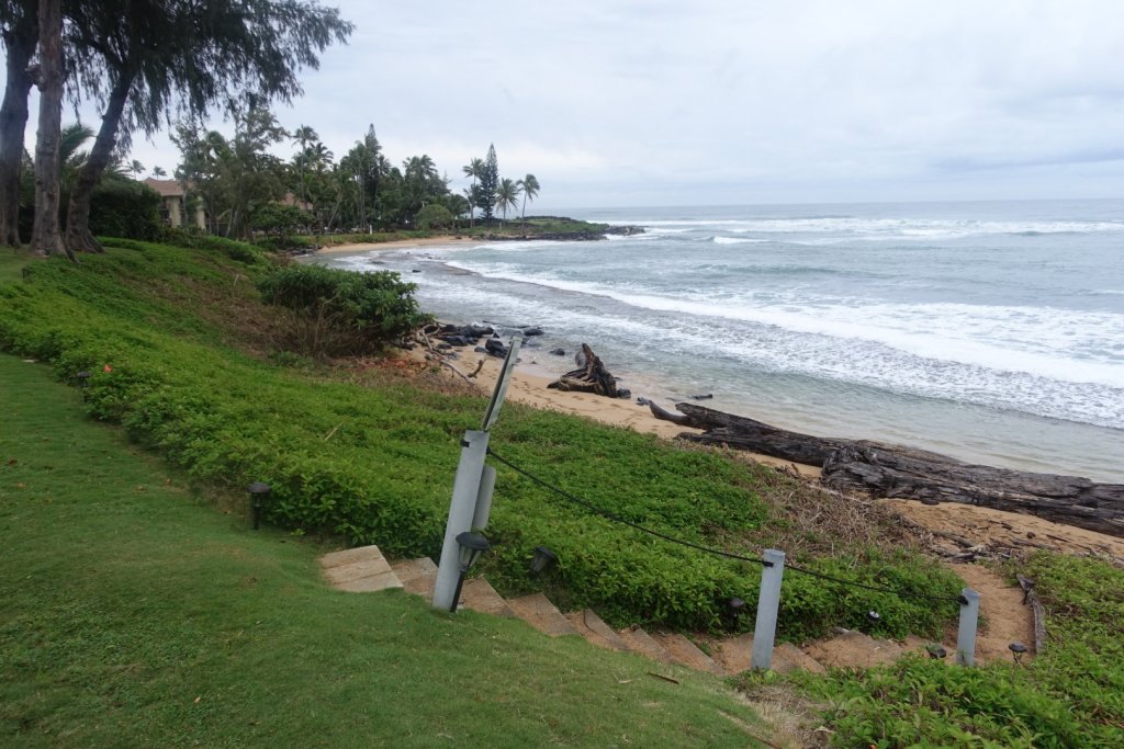 Beach view