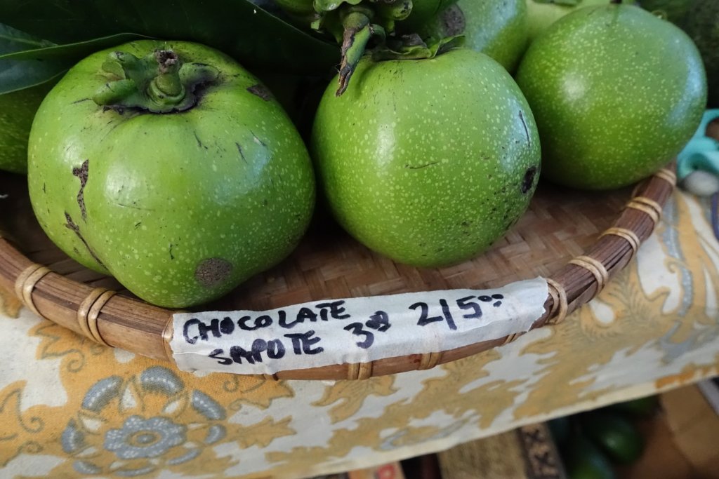 Chocolate sapote