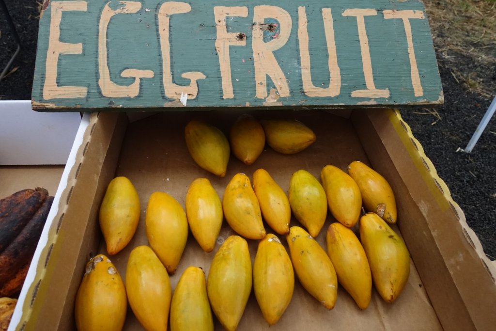 Egg fruit display