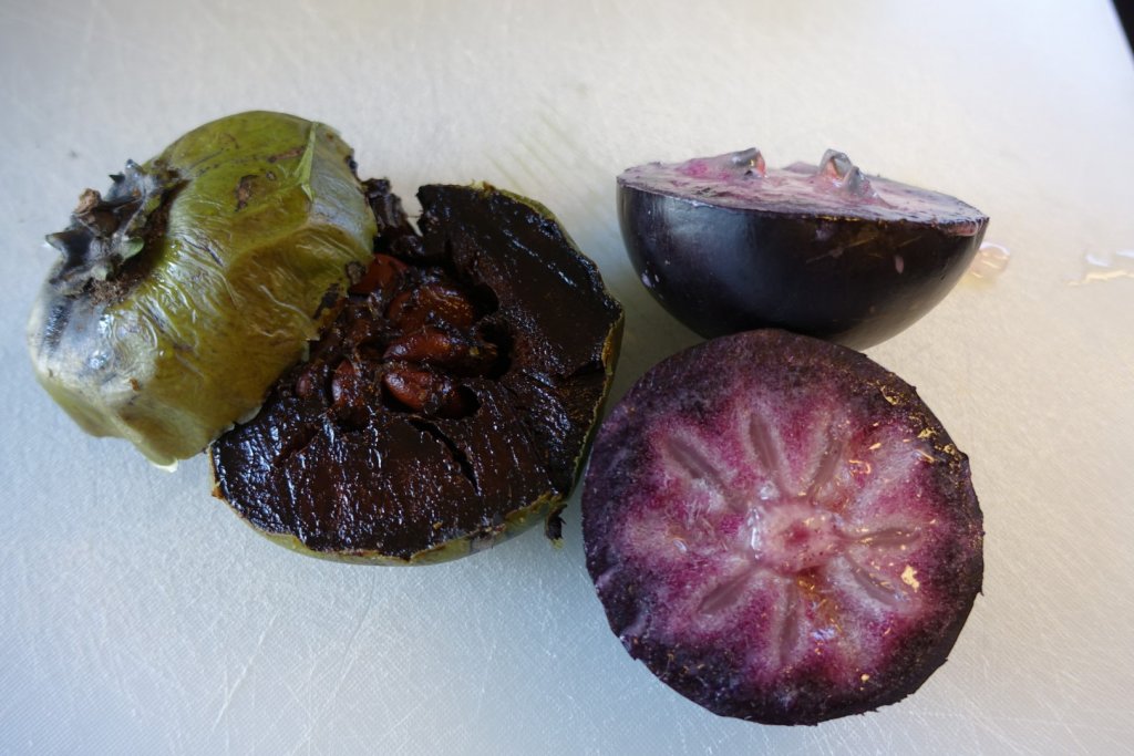 Inside of a cream apple and black sapote (chocolate fruit)