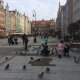 Pigeons