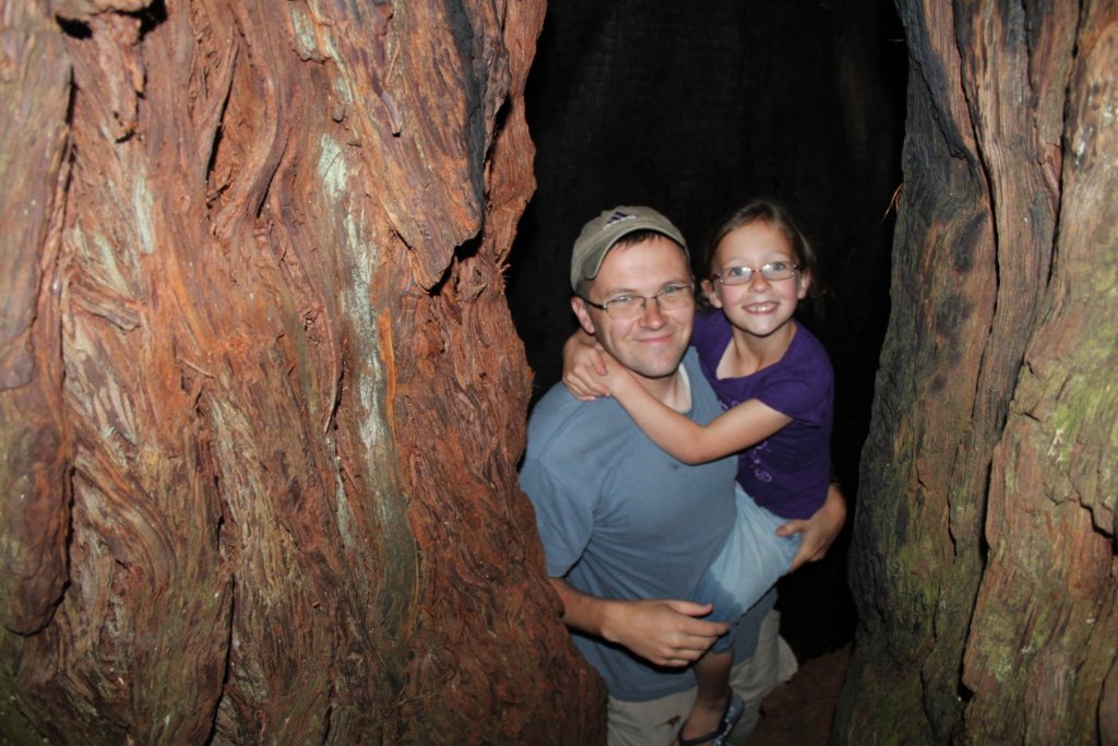 Father and daughter inside a redwood tree