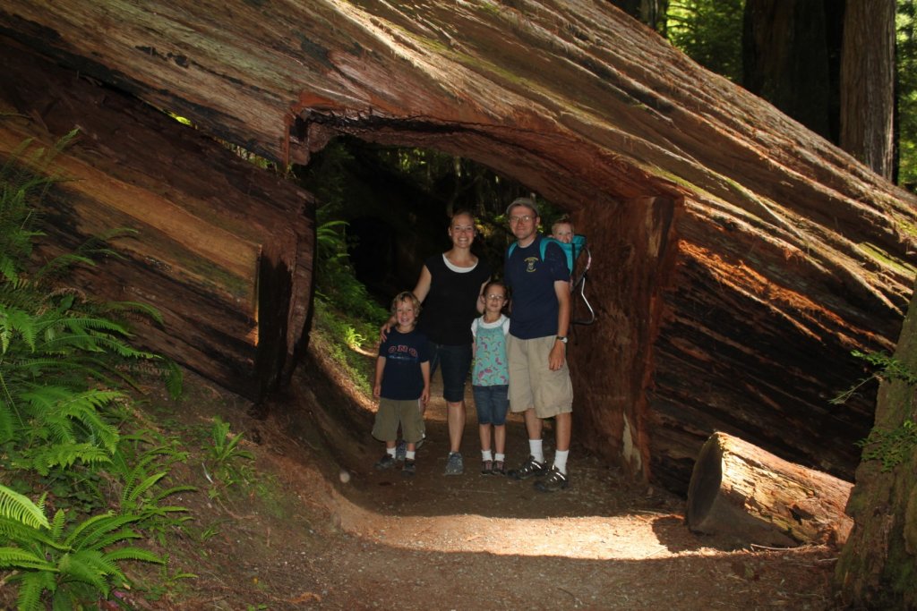 family standing inside a redwood tree