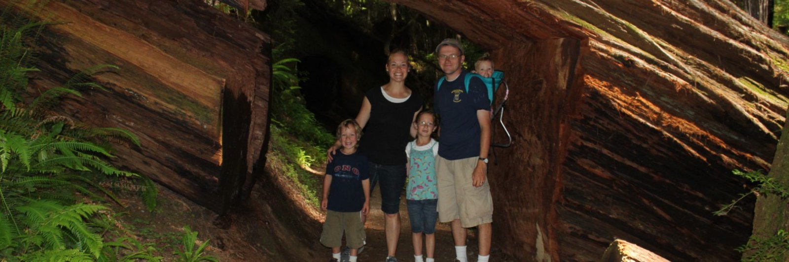 family standing inside a redwood tree