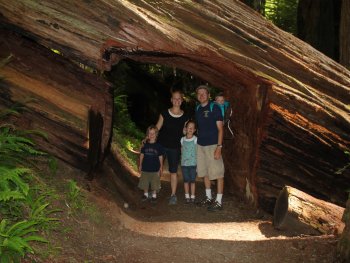 family standing inside a redwood tree