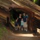 family standing inside a redwood tree