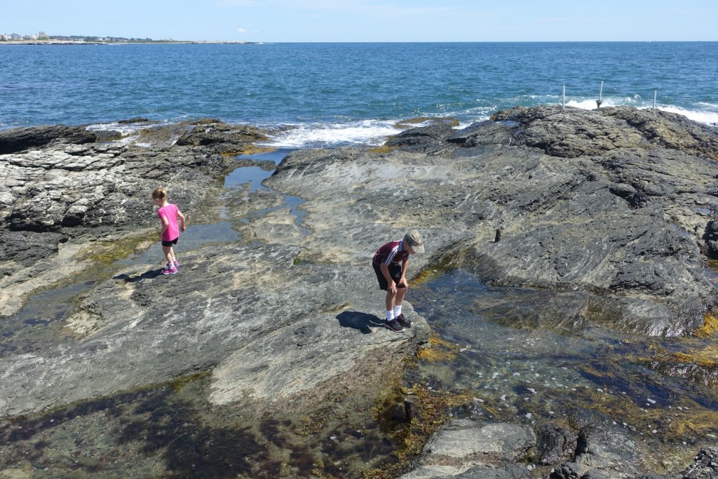 kids looking in tidepools at the ocean