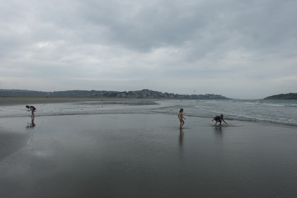 kids playing in the water at the beach