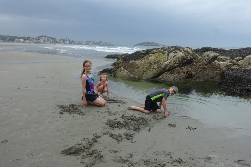 kids digging in the sand at the beach