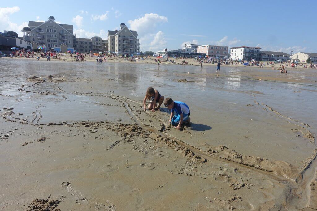 kids digging in the sand