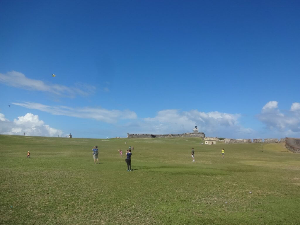 people flying kites in a grassy field