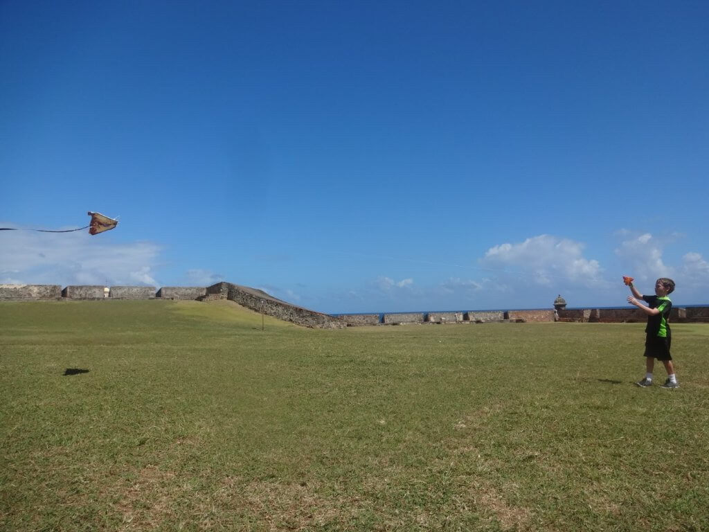 boy flying a kite