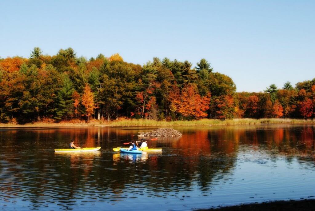 kayaks on a lake with Fall Leaves