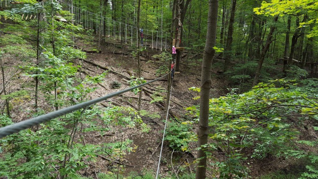 ropes course in the trees