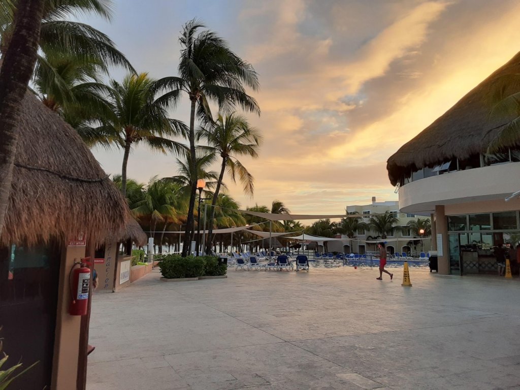 Sunrise with palm trees and buildings