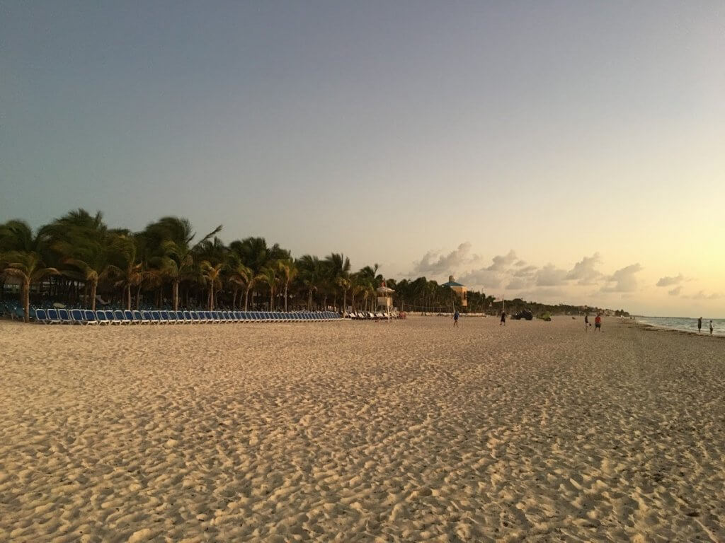 beach with louge chairs and palm trees