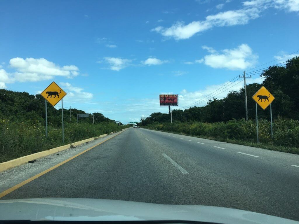 two jaguar crossing signs on a road