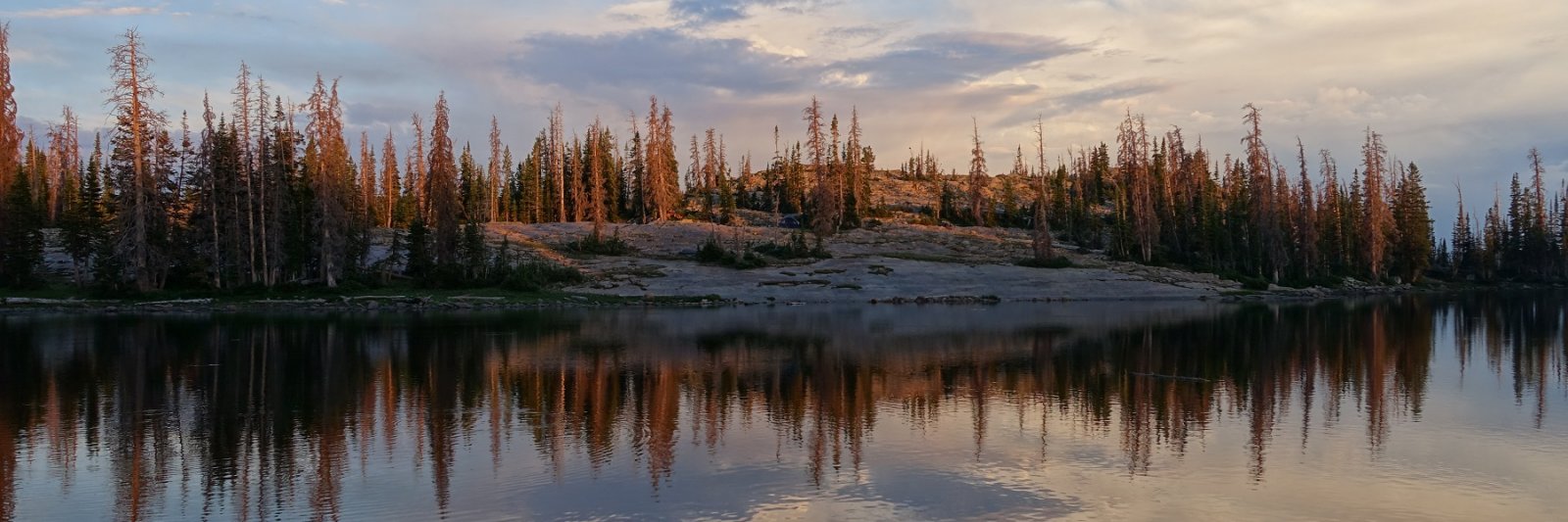 lake at sunset with pine trees