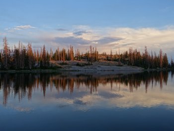 lake at sunset with pine trees