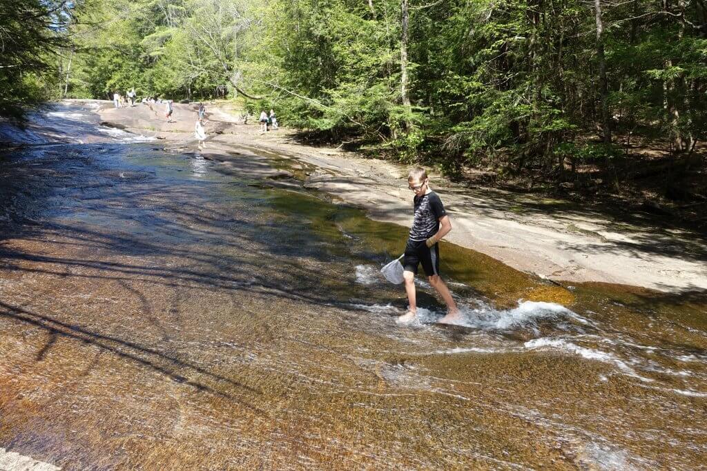 boy wading in the water with a net