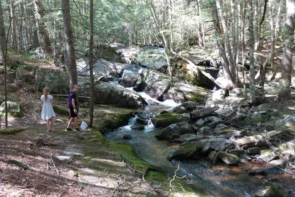 boy and girl hiking with net by water