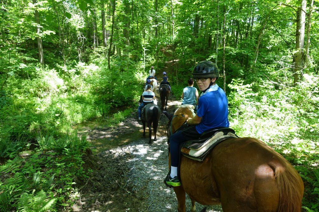 people on horses crossing a stream in the forest