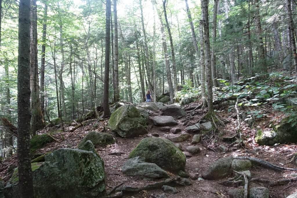 trail with roots and rocks