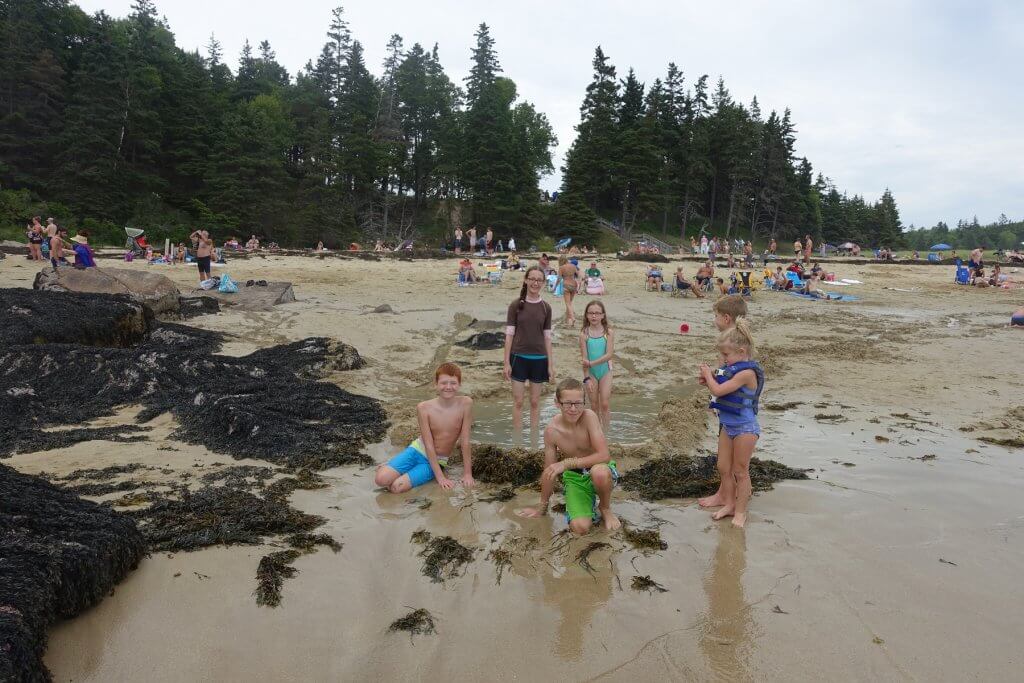 kids playing in sand on beach