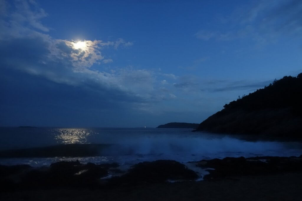 beach at night