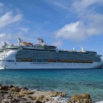 cruise ship in the water