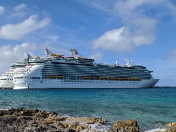 cruise ship in the water