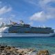 cruise ship in the water